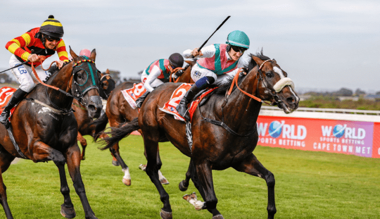 The Future of Horse Racing: Innovations in the Sport