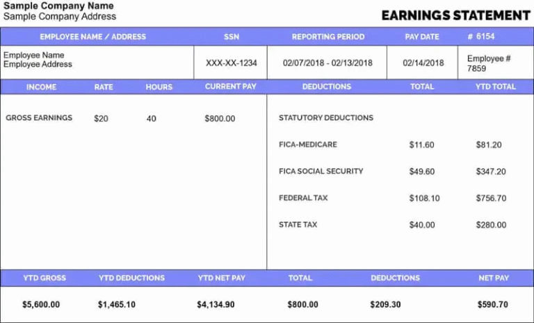 What to Look for in a Professional Pay Stub Template